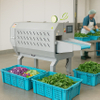 vegetable cutting machine