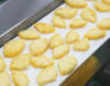 Pineapple Processing Line for Dried Fruit Production, Peeling, Cutting & Drying Solution
