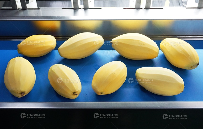 Automatic Commercial Mango Papaya Taro Fruit Peeling Machine