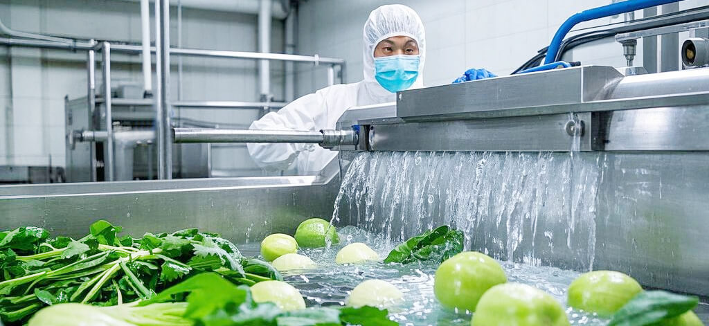 vegetable washing machine