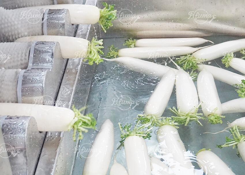 White Radish Carrot Root Vegetable Washing Cleaning Machine