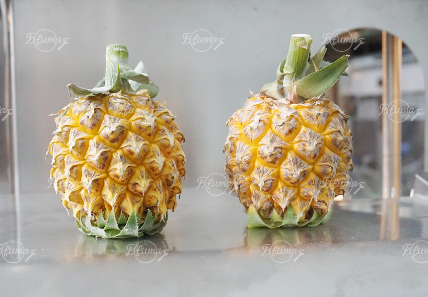pineapple peeling machine pineapple peeling machine