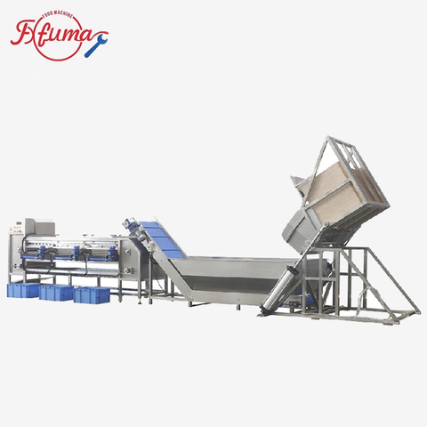 carrot sorting grading machine
