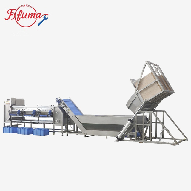 carrot sorting grading machine