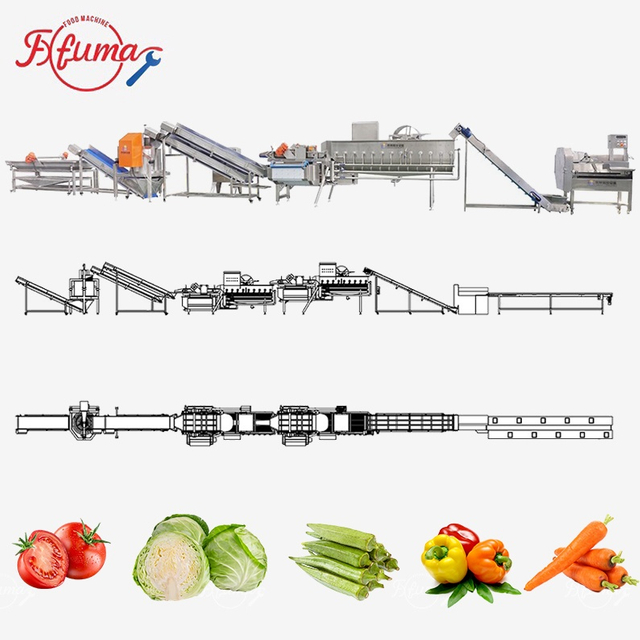 Fengxiang Vegetable Fruit Salad Cutting Washing Drying Machines Processing Line
