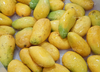 Vegetable Fruit Washing Cleaning Blanching Machine Plan