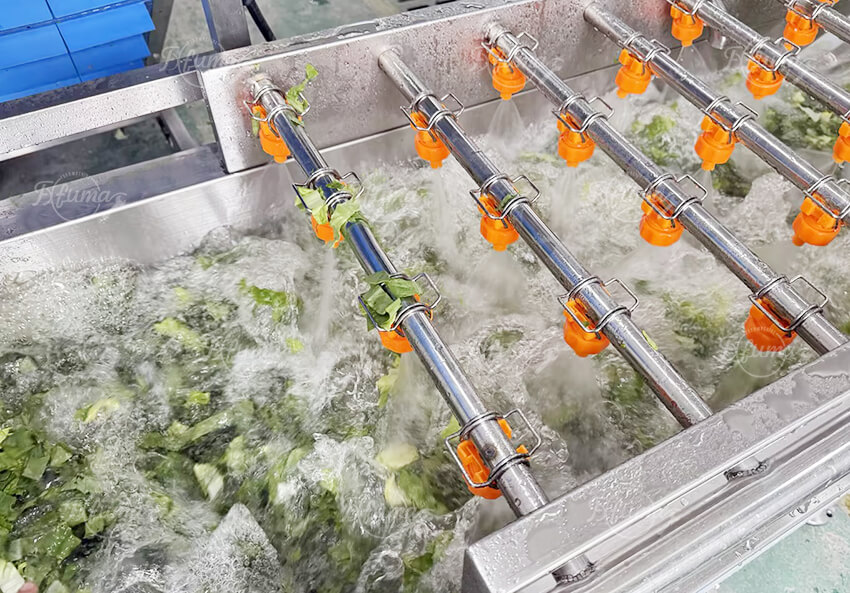 double stage washing machine for leafy vegetables in salad processing line