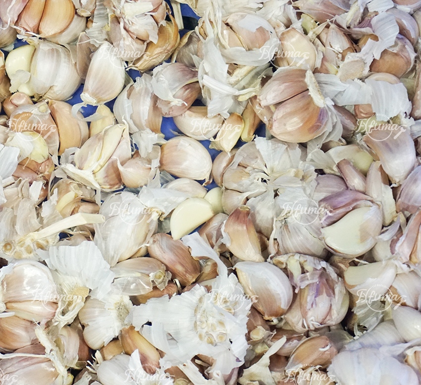 Garlic Cloves Separating Skin Peeling Removing Machine