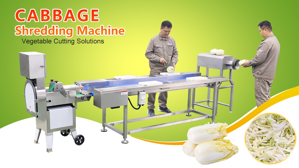 Cabbage Shredding Machine