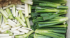 Vegetable Root Trimming and Segment Cutting Machine