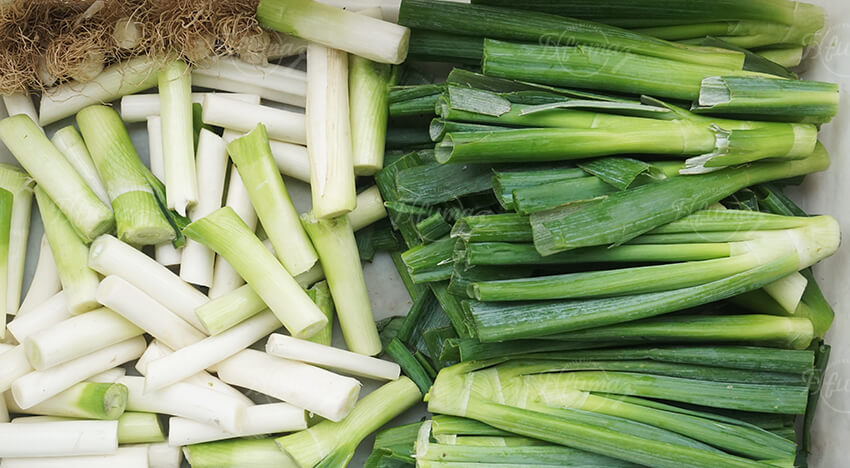 Vegetable Root Trimming and Segment Cutting Machine