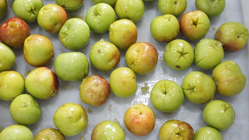 Automatic Cherry Plums Pitting Destoner Machine 