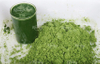 Pandan Juice Processing Machine – Pandan Leaf Cutting and Extraction