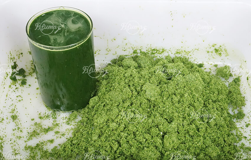 Pandan Juice Processing Machine – Pandan Leaf Cutting and Extraction