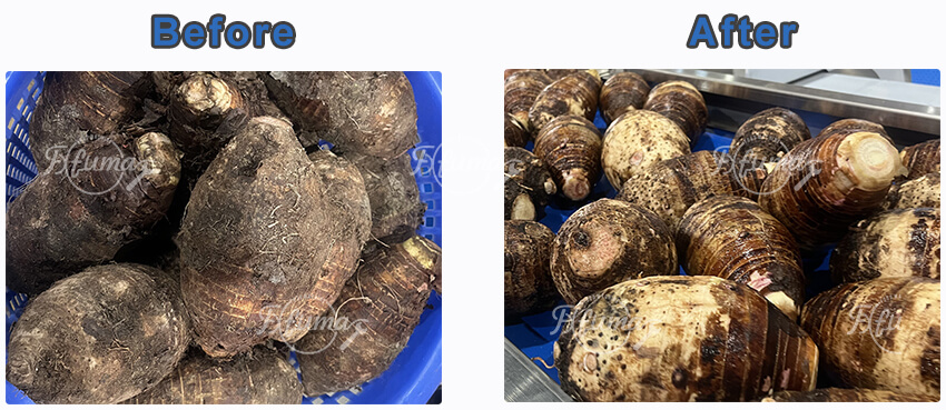 taro washing machine