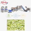 Industrial Cabbage Processing Line: Dicing, Vortex Washing & Centrifugal Drying