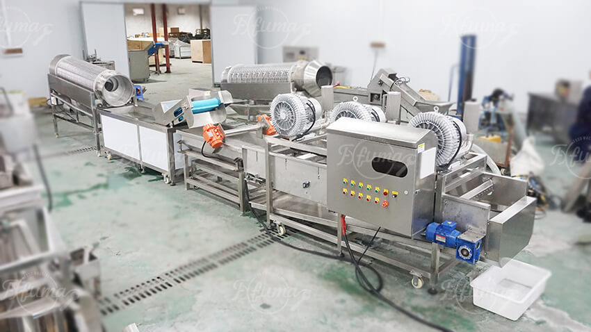 green bean cutting processing line