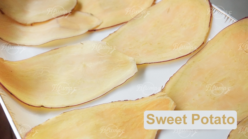 FC-582 Vegetable Fruit Papaya Carrot Sweet Potato Chips Crisp Shredding Slicing Machine