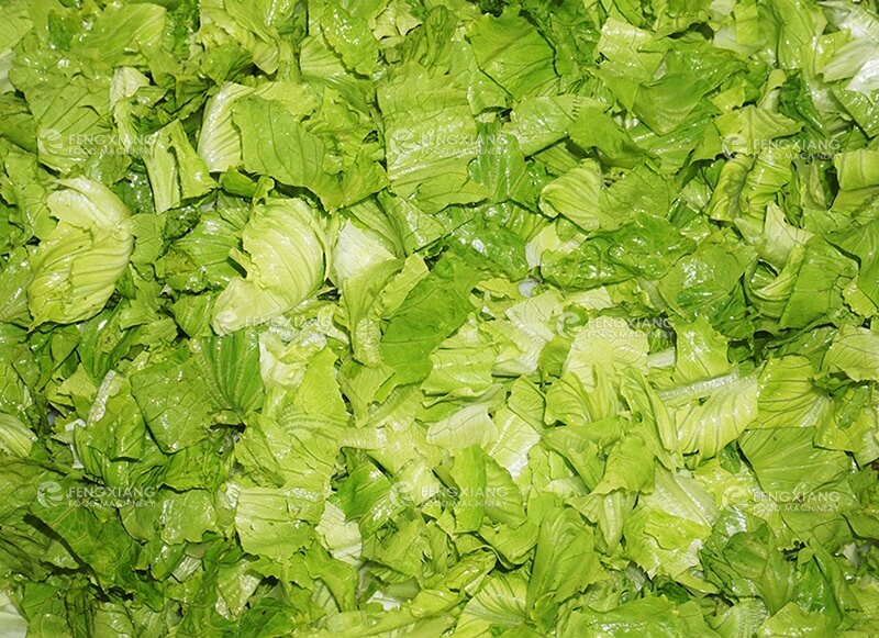 Lettuce slicing