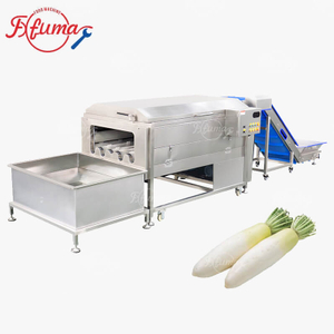 White Radish Carrot Root Vegetable Washing Cleaning Machine