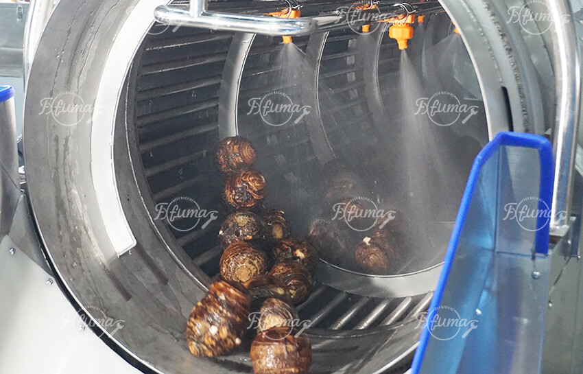 Taro Processing Line, Taro Washing Cutting Frozen Products and Packaging