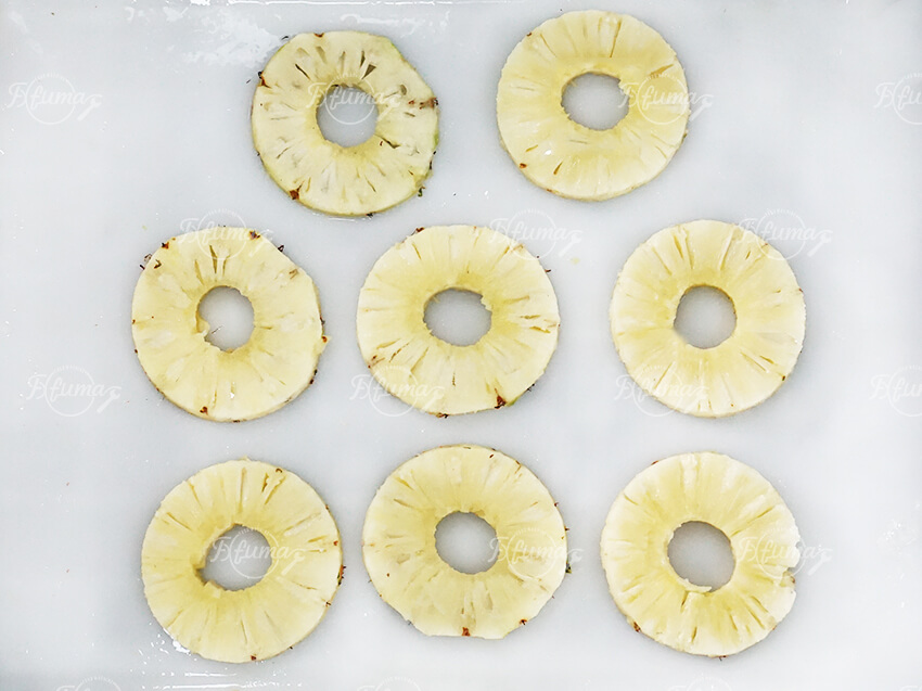 pineapple cutting for fresh cut and frozen processing