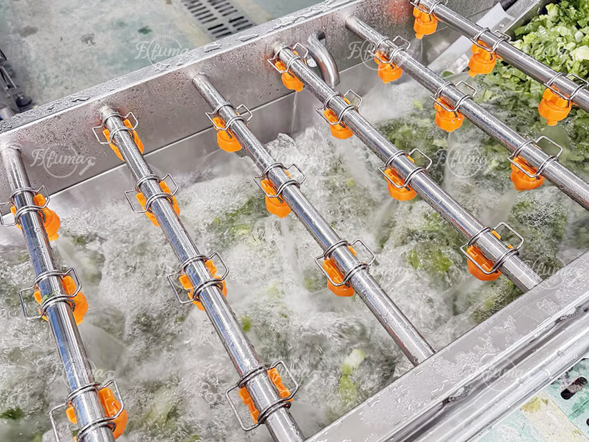 Fresh Leafy Greens Vegetable Salad Production Line