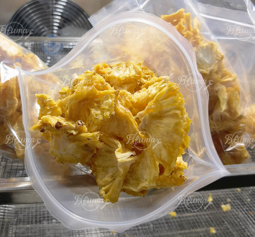 Pineapple Processing Line for Dried Fruit Production, Peeling, Cutting & Drying Solution