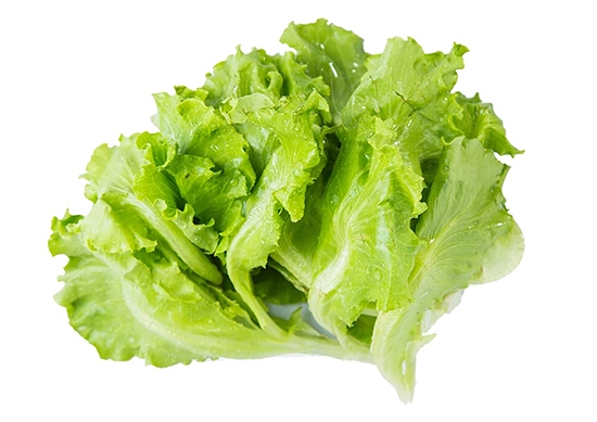 lettuce cutting machine
