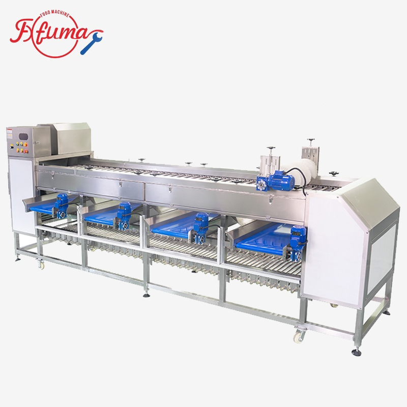 Fuma Fruit Potato Onion Size Sorting Grading Machine