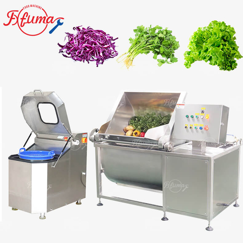 Vegetable Fruit Flip Bubble Washing Cleaning Machine
