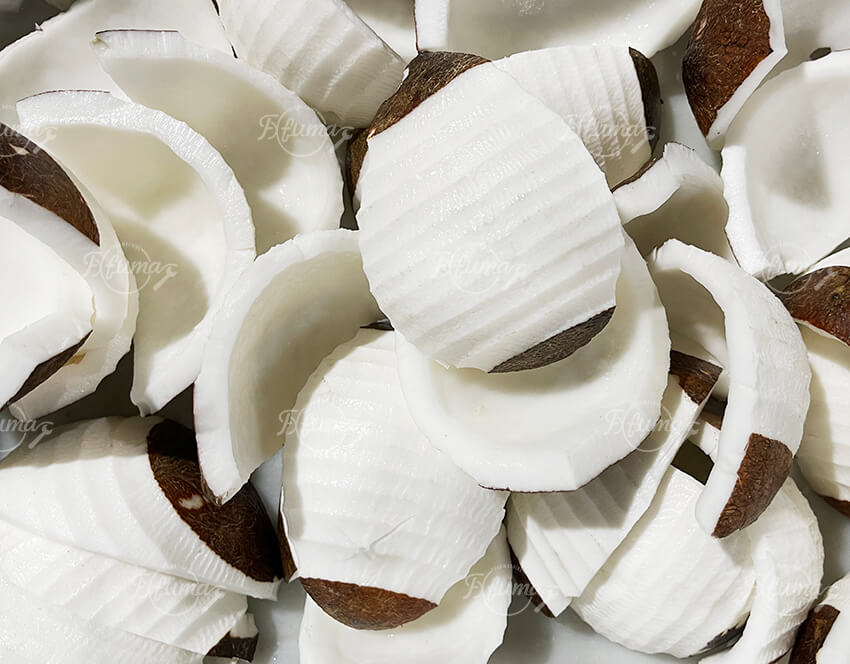 Double Head Coconut Peeling and Washing Machine for Fresh Processing Lines