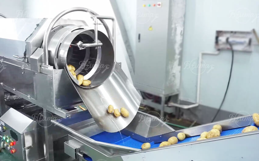 Automatic Potato Washing and Peeling Line for Industrial Potato Processing