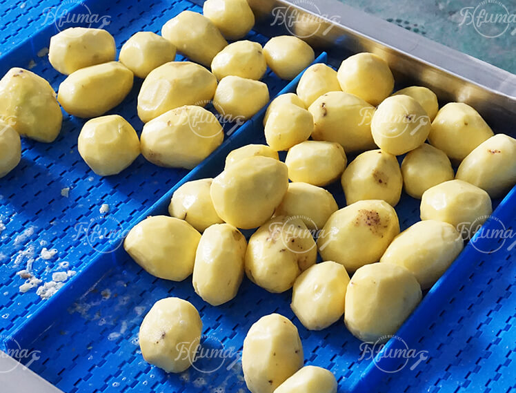 Automatic Potato Washing and Peeling Line for Industrial Potato Processing
