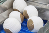 Coconut Peeling Processing Machine