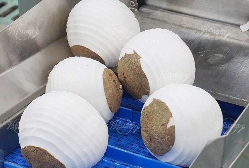 Coconut Peeling Processing Machine
