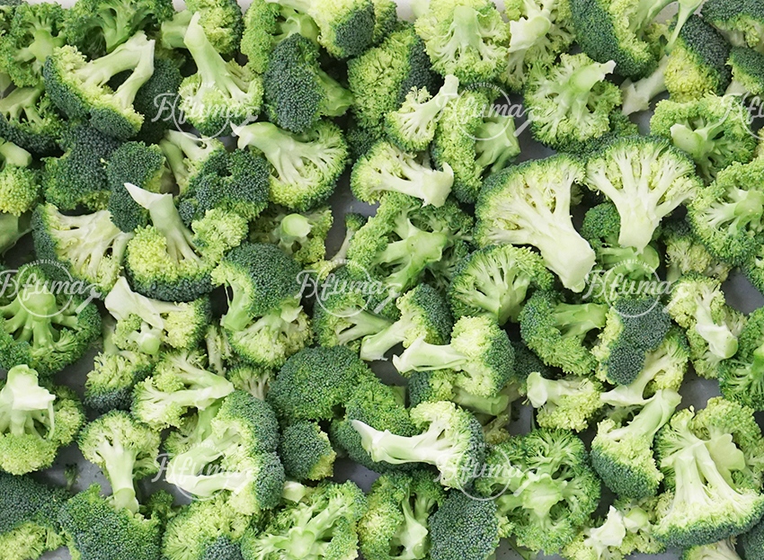 西兰花分朵机 福马-3.jpg