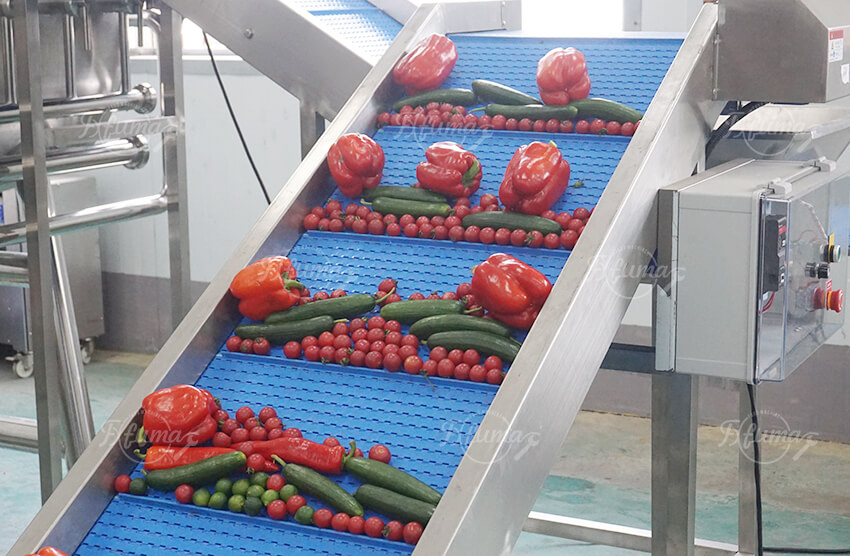 vegetable washing feeding machine