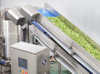 Automated Fresh-Cut Salad Processing Line | Fuma Machinery