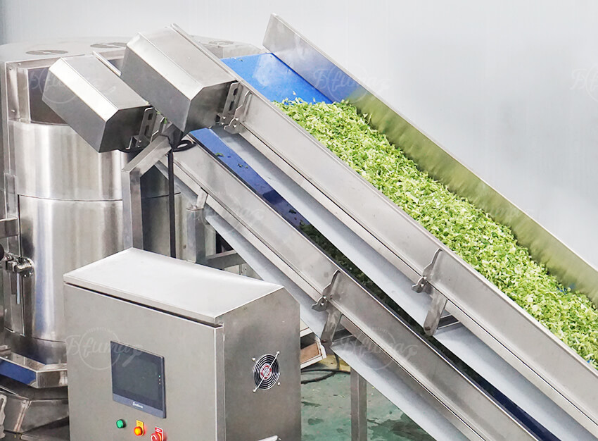 Automated Fresh-Cut Salad Processing Line | Fuma Machinery