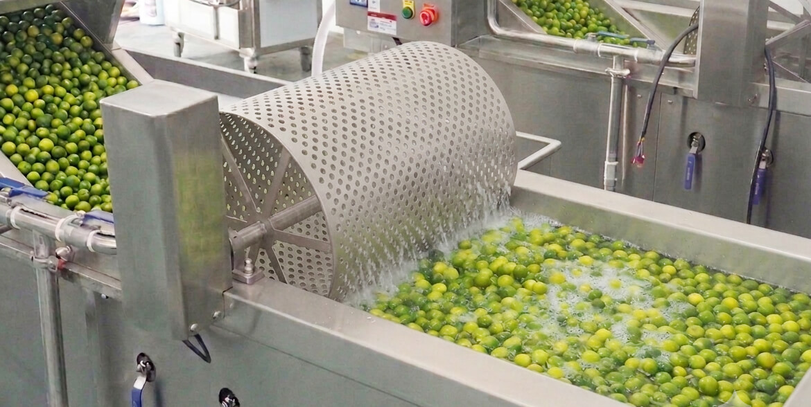 automatic calamansi washing machine for fruit preparation
