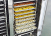 Hot Air Circulation Drying Machine for Fruits, Vegetables and Food Processing