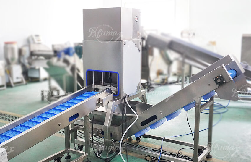 Industrial Pineapple Ring Production Line | Automatic Peeling, Coring, Slicing & Washing System