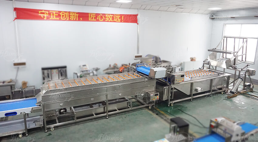 Industrial Pineapple Processing Line for Washing, Peeling and Cutting