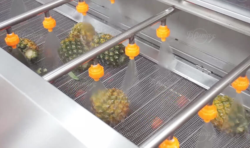 pineapple washing machine