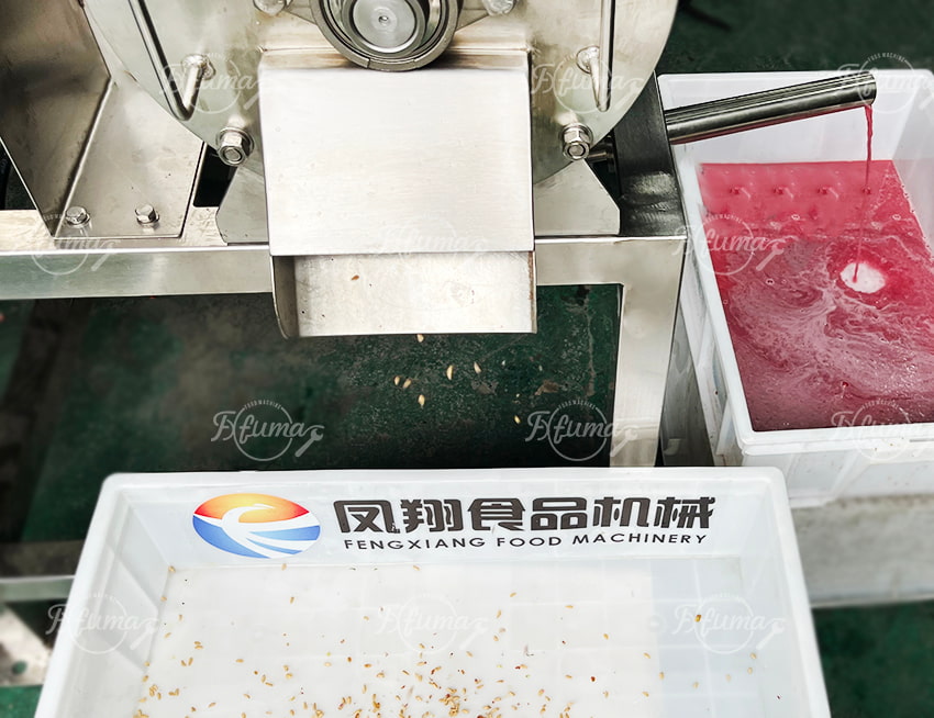 pomegranate juice extraction machine for commercial juice production
