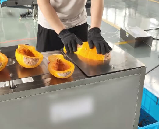 Automatic pumpkin coring machine removing seeds and fiber