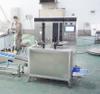 Industrial Pineapple Ring Production Line | Automatic Peeling, Coring, Slicing & Washing System
