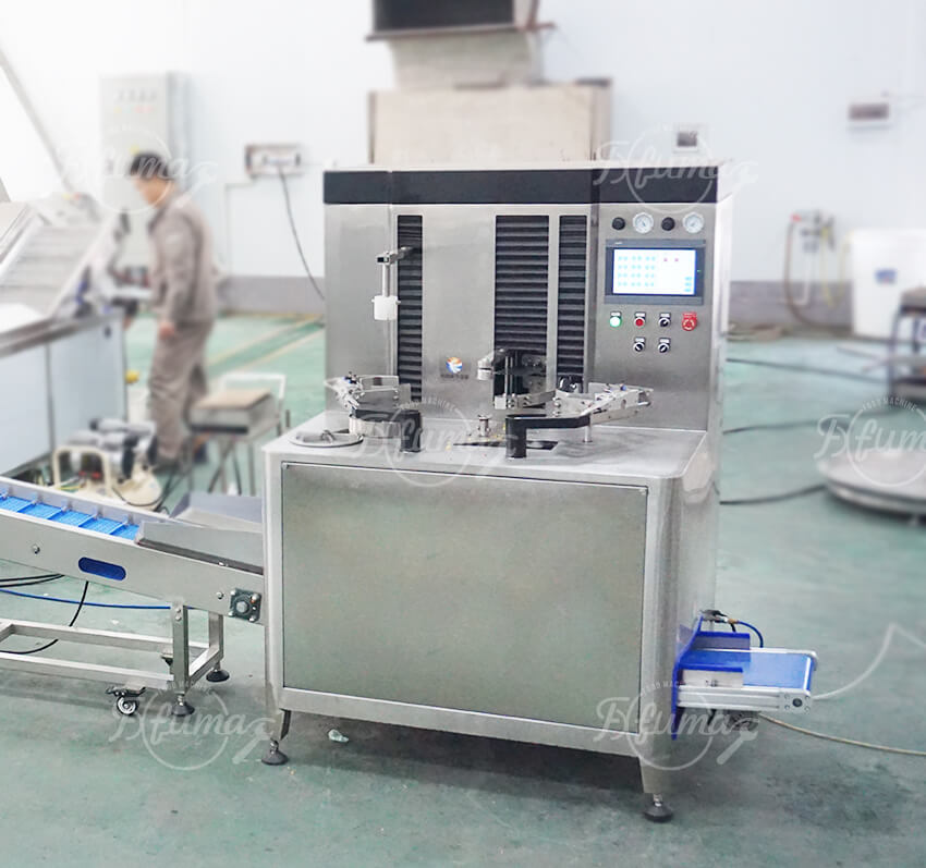 Industrial Pineapple Ring Production Line | Automatic Peeling, Coring, Slicing & Washing System