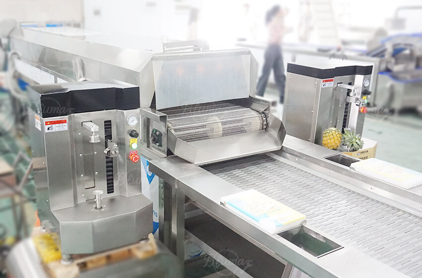 Fruit Pulp Production Line for Juice Manufacturing